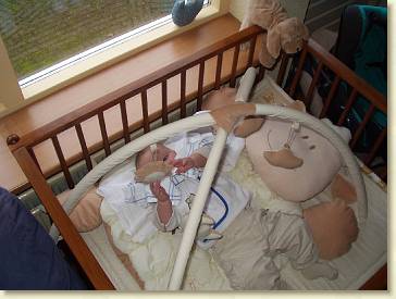 20041212-01 Spelen met het zonnetje